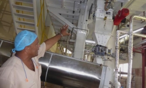 La nueva tecnología de la industria sigue muy lejos de saciar su demanda de materia prima.
FOTO DEL AUTOR