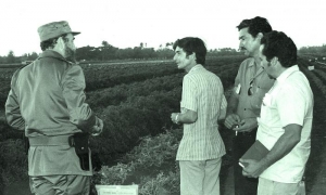 Fidel Castro en uan visita a la Empresa de Cultivos varios 19 de abril en 1985
Publicada: 27/05/2008
Fid18365