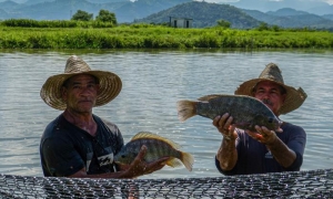 De este lugar nadie sabe más que ellos. fotos: Yélidis Remón Vega